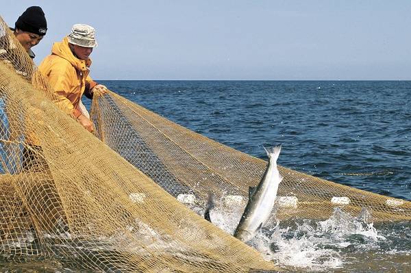 Спецоперация на Украине и рыболовство в Азовском море: «да там ловить просто нечего»