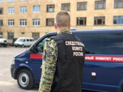 Следком подтвердил задержание банды молодых националистов в Ростовской области
