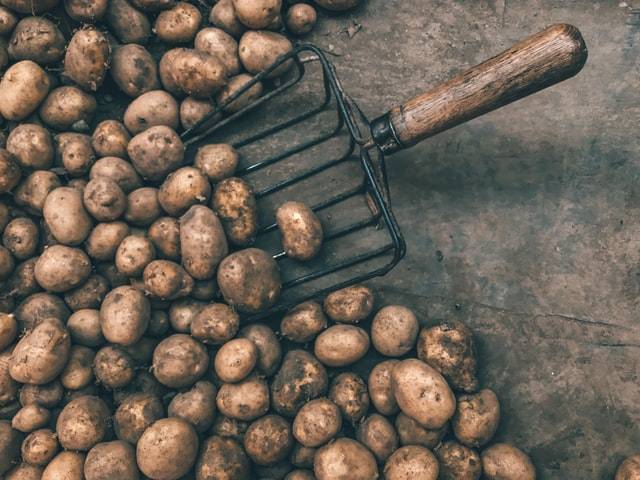Экономист Косов спрогнозировал падение цен на картофель в Ростовской области