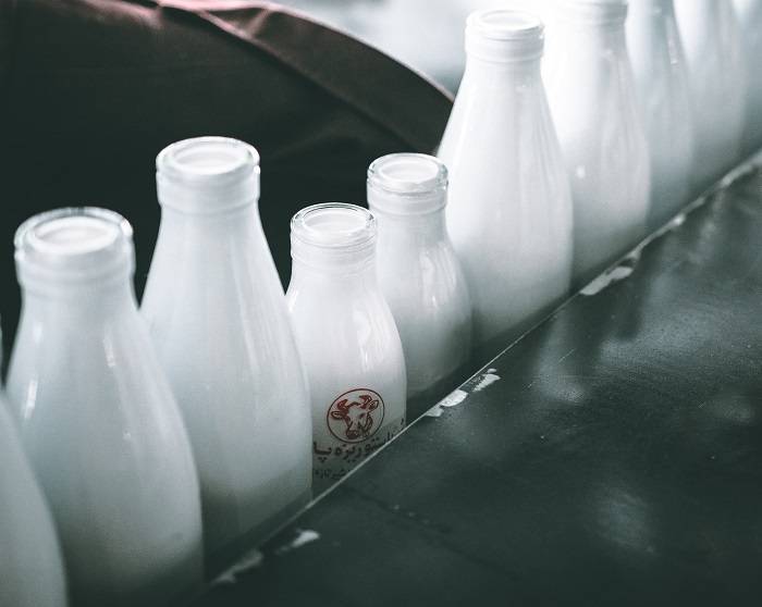 В Ростовской области молоко с антибиотиками три года поставляли детям