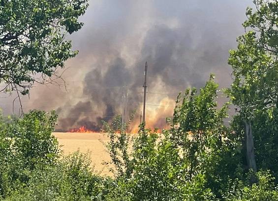 Очевидцы сообщили о масштабном пожаре у трассы «Ростов-Таганрог» 9 июля