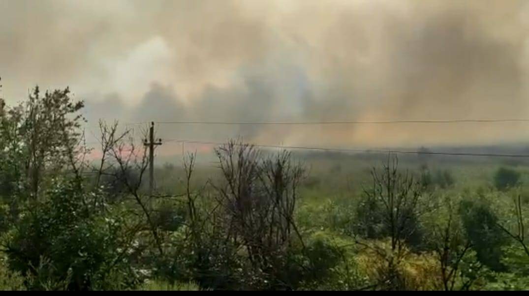 В Ростове на левом берегу в районе Чемордачки сотрудники МЧС тушат крупный ландшафтный пожар повышенного ранга