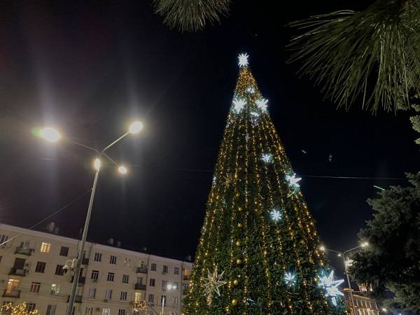 В Ростове открытие главной новогодней елки пройдет в детском формате 27 декабря