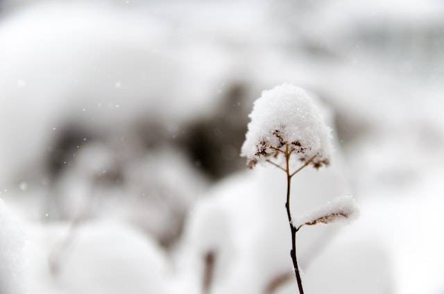 Глава Ростовского гидрометцентра Назарова рассказал о сильных морозах в феврале