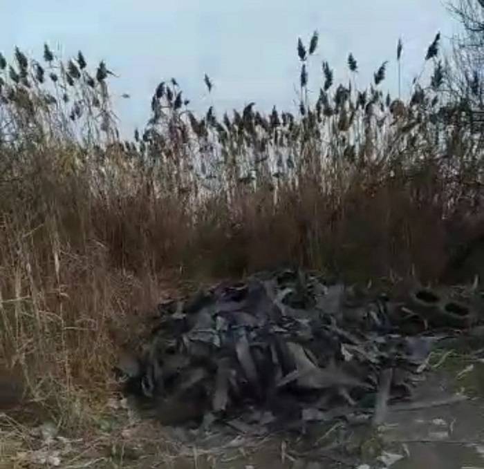 В Таганроге граждане обнаружили свалку опасных отходов, которые вывалили прямо на побережье
