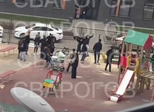 Ростовская полиция организовала проверку из-за жестокой драки на детской площадке