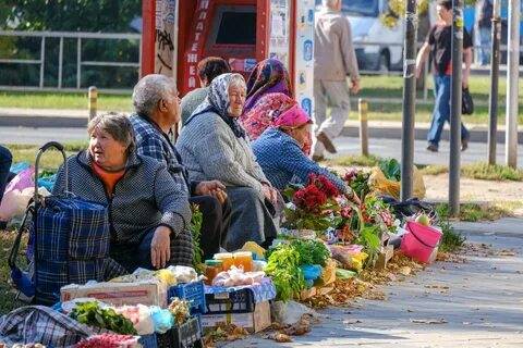 В Ростове может быть узаконена торговля продуктами с огорода