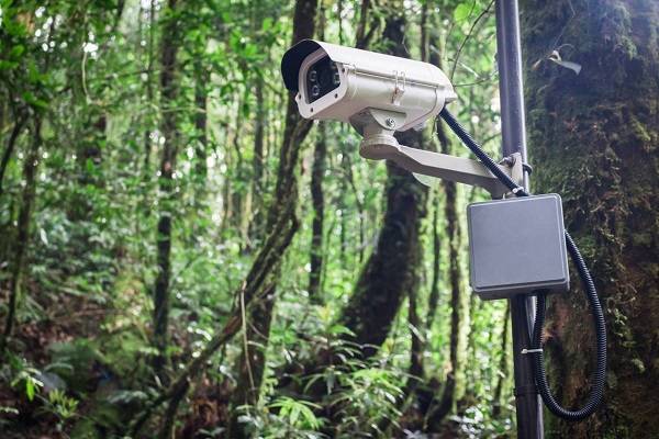 Пожары в лесах Ростовской области будут отслеживать 86 камер наблюдения