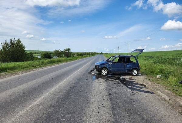 В Ростовской области 69-летний водитель «Оки» погиб в перевернувшемся автомобиле