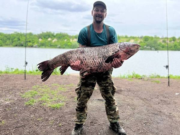 В Ростовской области рыбак поймал белого амура с рекордным весом 34 килограмма