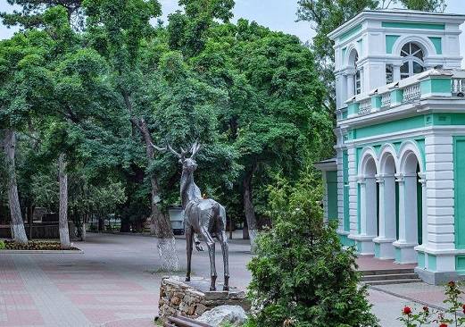 Ростовский зоопарк возобновил работу после пожара и эвакуации животных