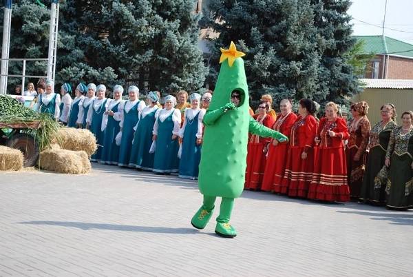 В Ростовской области пройдет фестиваль «День огурца» с дегустацией
