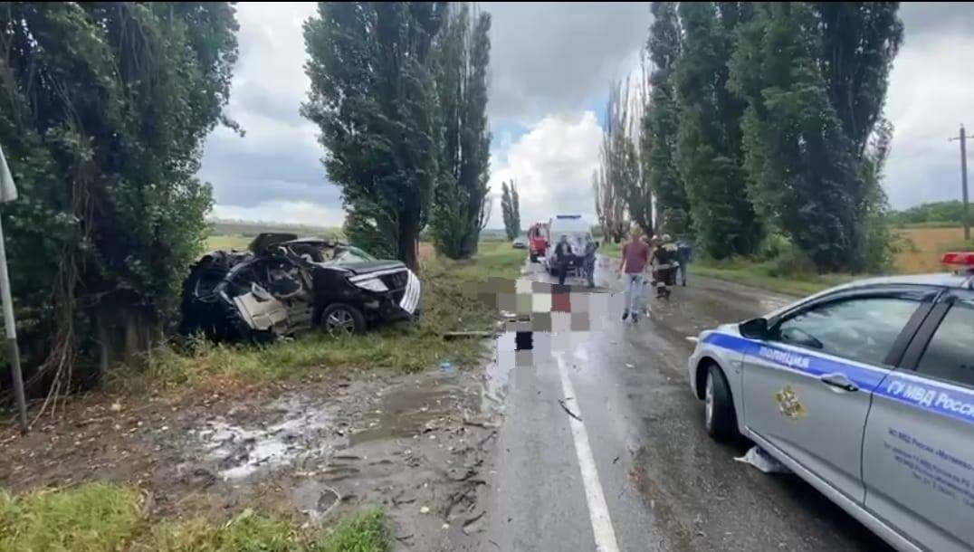 Под Таганрогом в ДТП погибли три пассажира иномарки, в том числе 7-летний мальчик