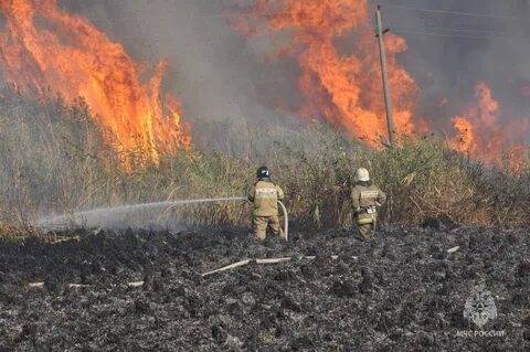 В Ростовской области объявлен высокий уровень пожароопасности