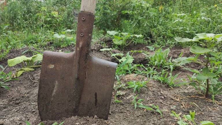 В Батайске ссора из-за межи переросла в драку лопатами