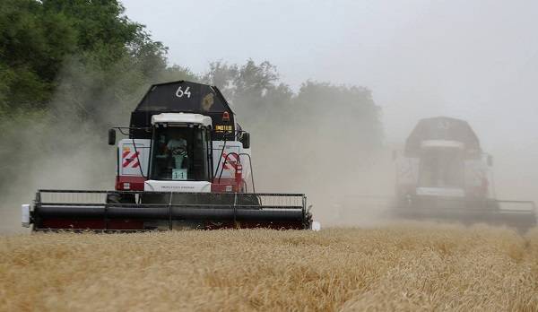 В Ростовской области собрали 10 млн тонн зерна к 31 июля, урожайность рекордная