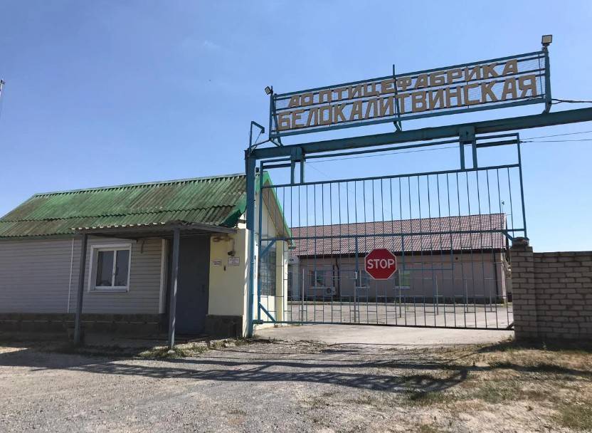Новая владелица Белокалитвинской птицефабрики собирается восстановить её работу к концу года