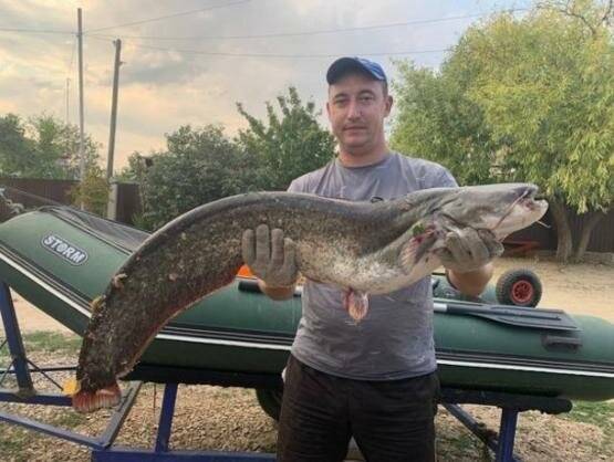 В Ростовской области рыбак поймал девятикилограммового сома