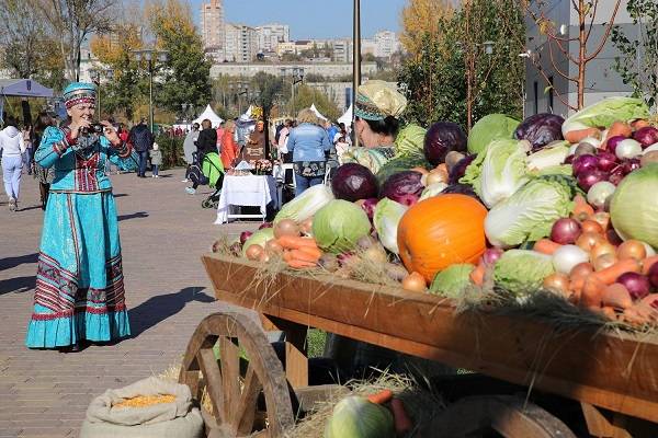 Стала известна дата проведения масштабного фестиваля «День донского урожая»