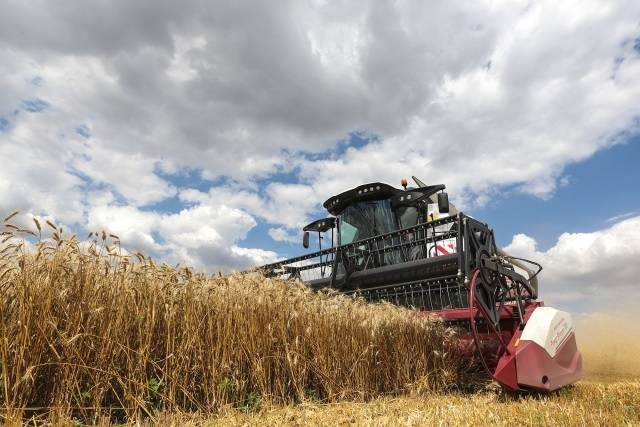 В Ростовской области ожидают рекордный урожай зерна в 16 млн тонн