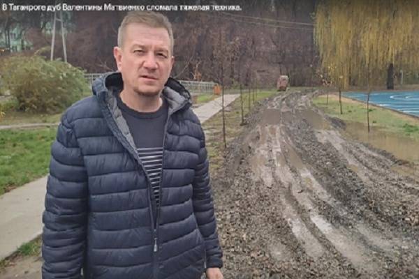 В Таганроге коммунальщики повредили дуб, высаженный Валентиной Матвиенко