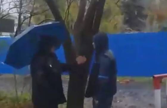 Протестующие против валки деревьев ростовчане вышли на дежурство