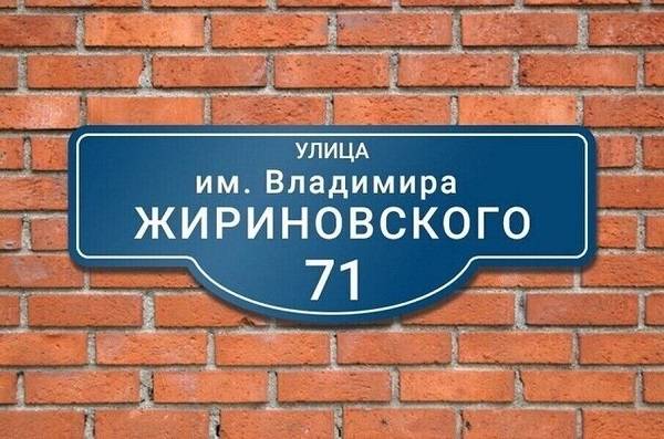 В городах Ростовской области появятся улицы имени Владимира Жириновского