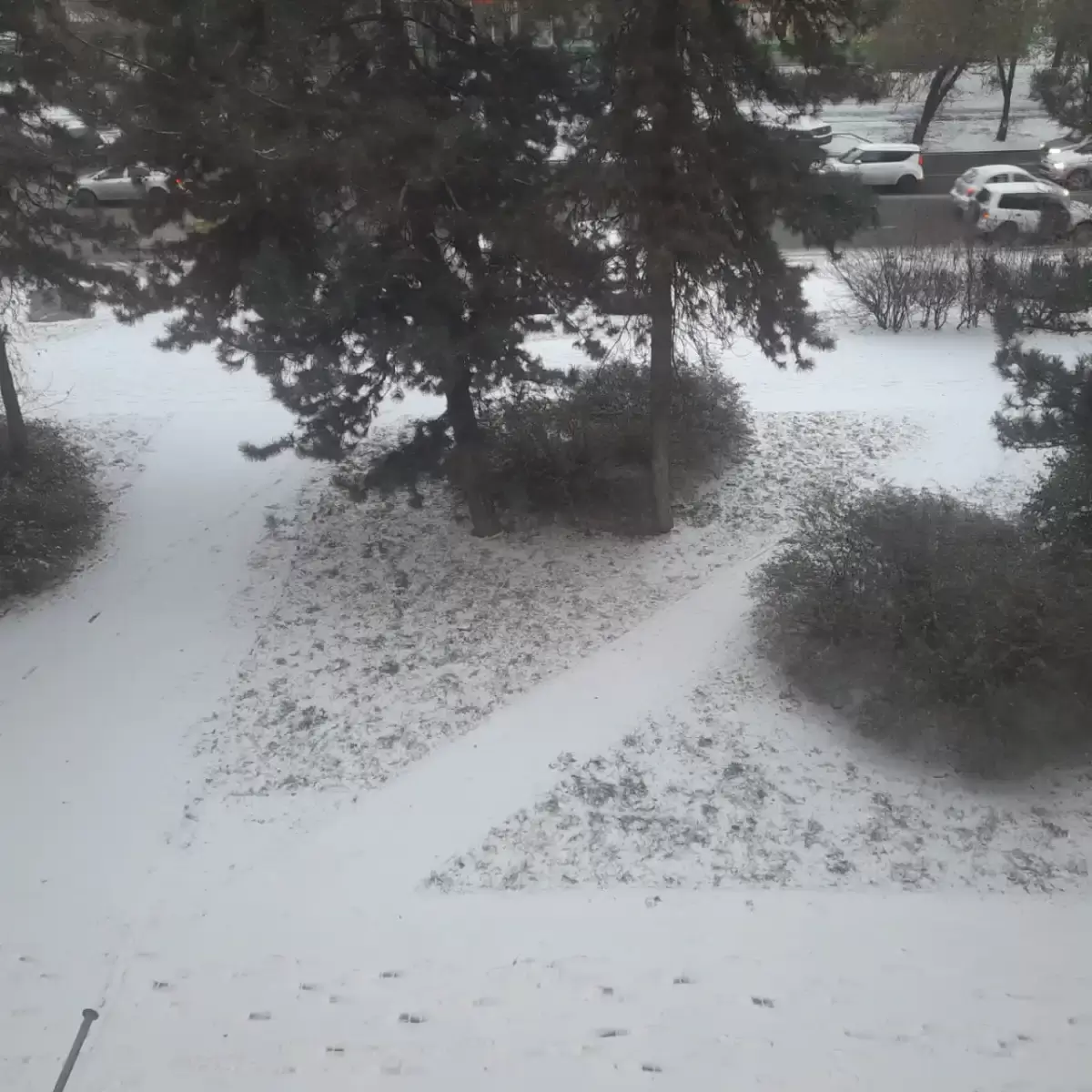 В Ростове 23 ноября выпал первый снег