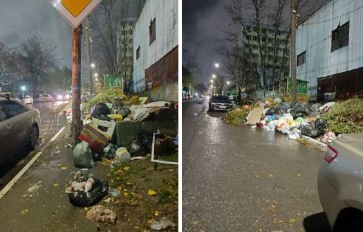 В Ростове в ближайшие дни заменят старые мусоровозы на 35 новых