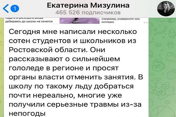 Екатерина Мизулина получила сотню жалоб от студентов и школьников региона из-за гололеда