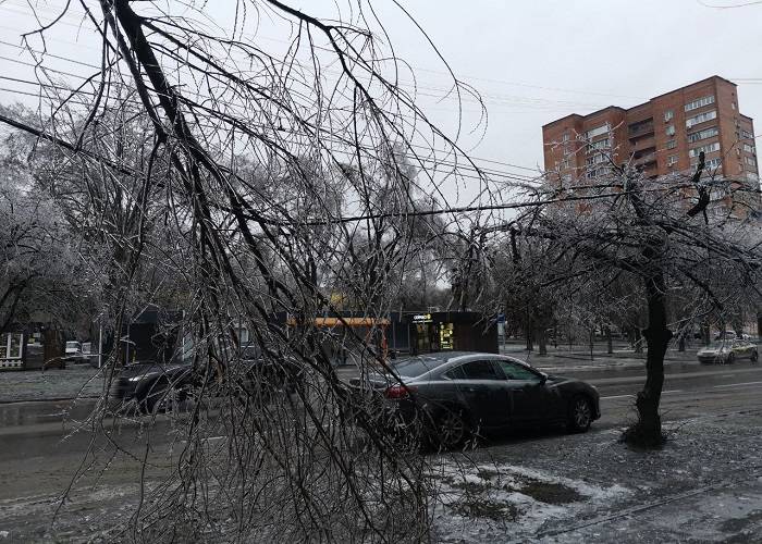 Ростов завалили упавшие деревья и сорванные электропровода