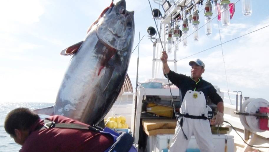 В Токио гигантского тунца продали за $788 тысяч с аукциона