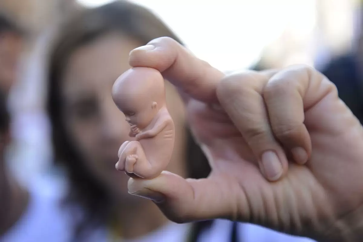 В Ростовской области на каждые 100 родов приходится 30 абортов
