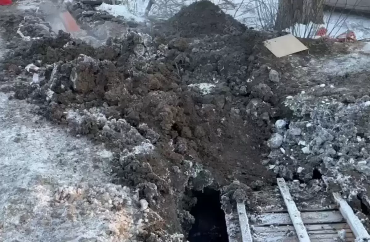 Почва микрорайона Новочеркасска оказалась заражена опасными бактериями