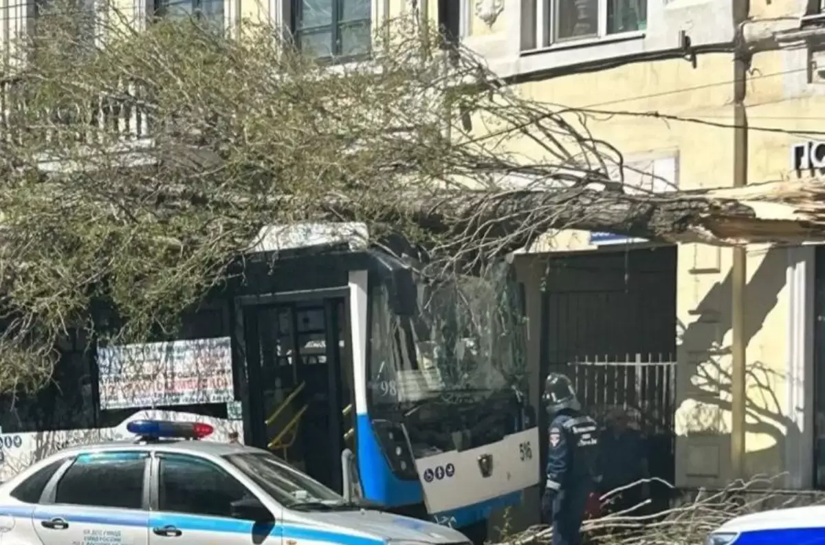 В Ростове муниципальный автобус №98 выехал на тротуар и снес дерево »  Ростовская область сегодня! Новости Ростова-на-Дону и региона