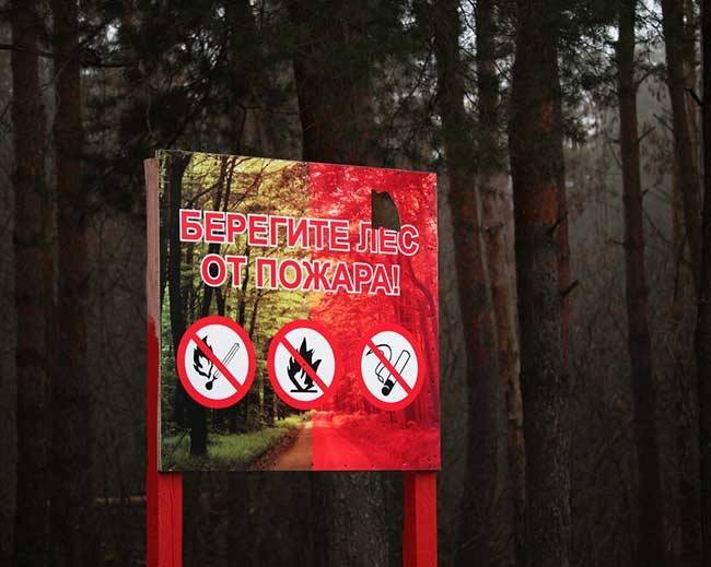 Избежит ли Ростовская область в 2024 году крупных лесных пожаров