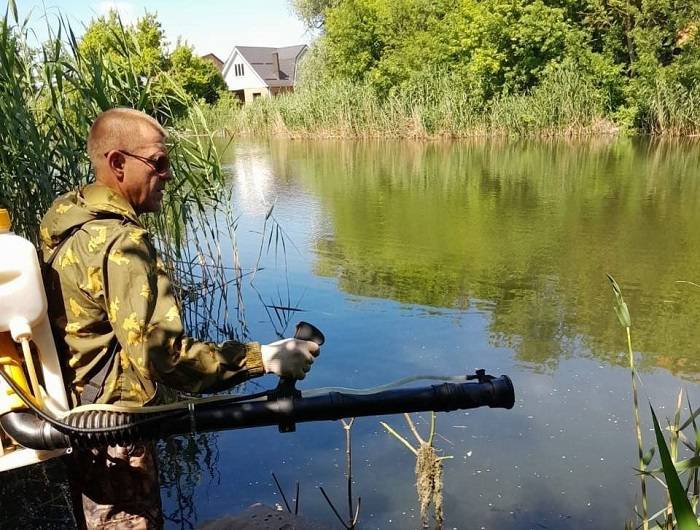 В Ростове приступили к уничтожению личинок комаров в районе водоемов