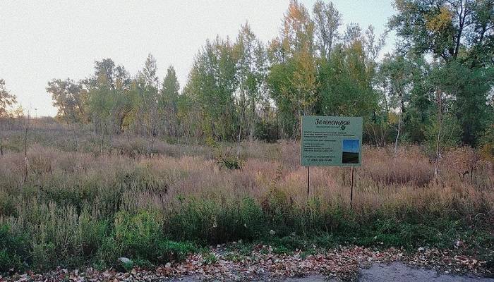 Компания «Зеленстрой» обязуется повторно посадить деревья взамен засохших на Зеленом острове