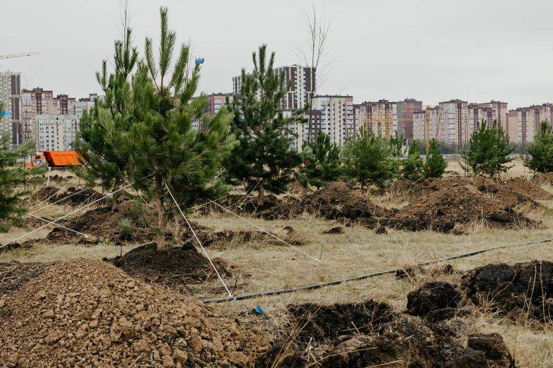 Парку — быть: ГК «ЮгСтройИнвест» поучаствовала в высадке деревьев в «Новом Ростове»