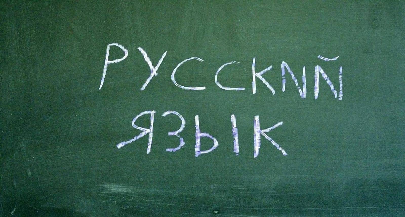 В Ростовской области за первый месяц тестирования детей мигрантов на знание русского языка пришло всего восемь человек