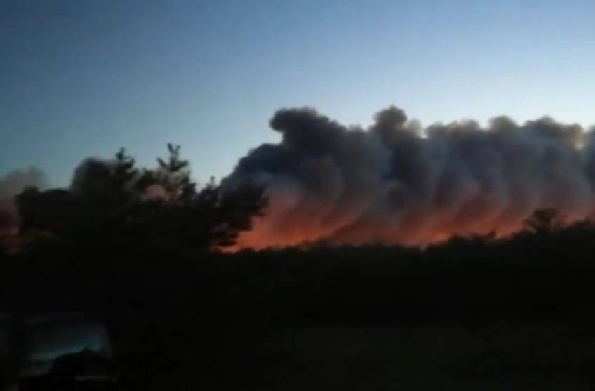 Площадь крупного лесного пожара в Каменском районе Ростовской области, не смотря на все усилия пожарных, за ночь выросла вдвое