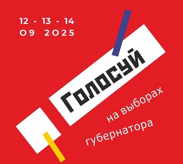 На выборах губернатора Ростовской области проголосовало уже более 1 млн избирателей