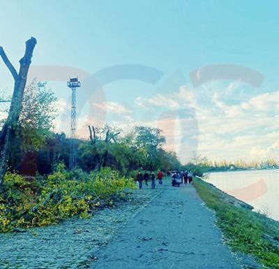 В Таганроге на Пушкинской набережной вырубили деревья