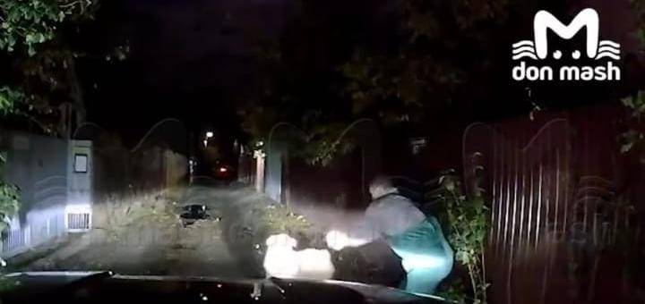 Собака бойцовой породы нанесла тяжелые увечья ростовчанке