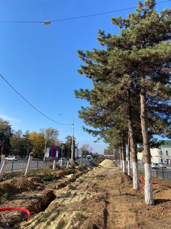 Слюсарь: «Деревья выше 1,8 метра теперь можно спиливать только с моего письменного разрешения»