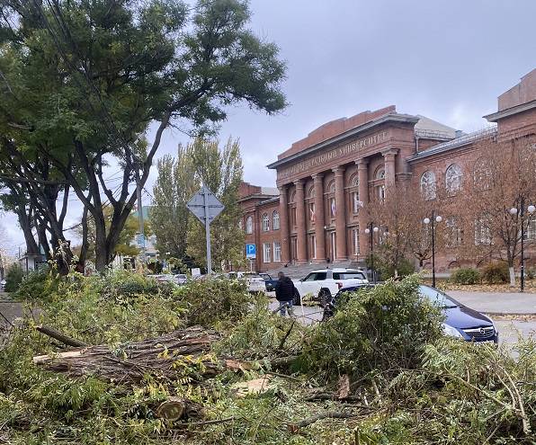 В центре Таганрога продолжают уничтожать деревья