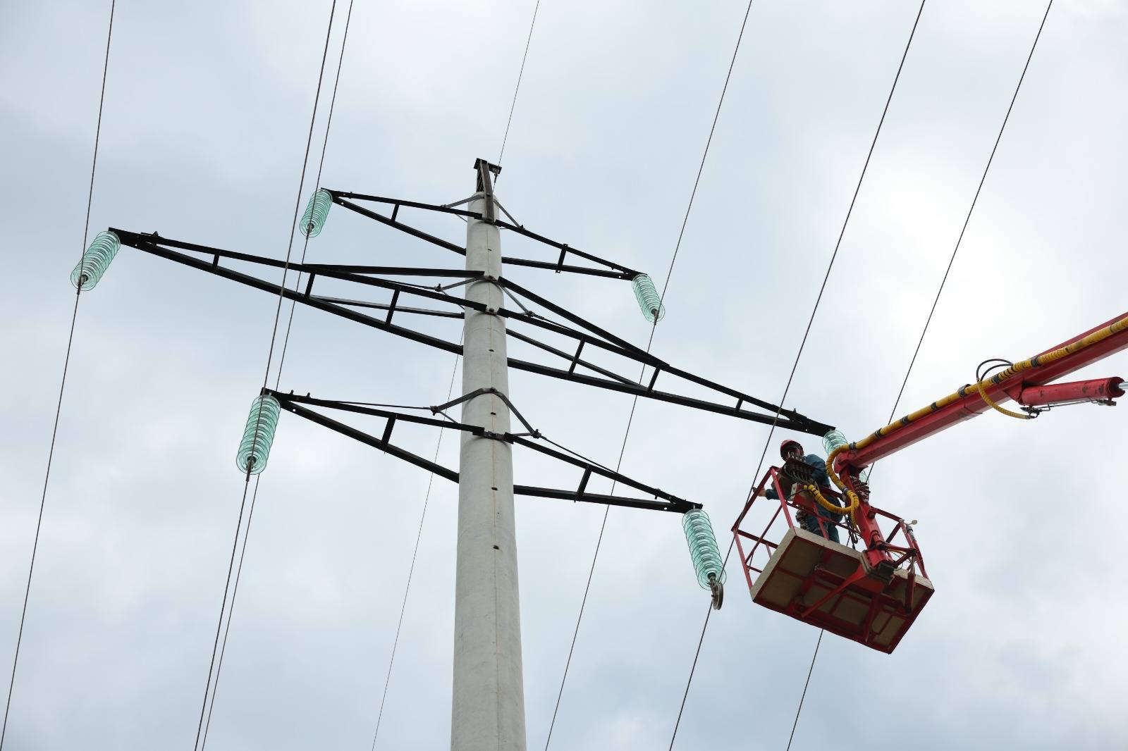 Электросетевое хозяйство Дона подготовили к работе в зимний период