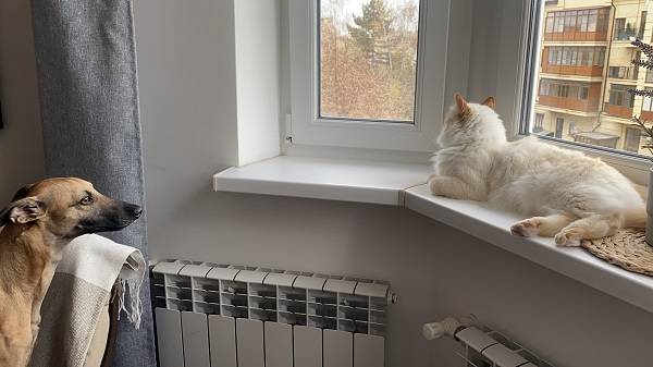 В Таганроге завершили запуск отопления во всех жилых домах