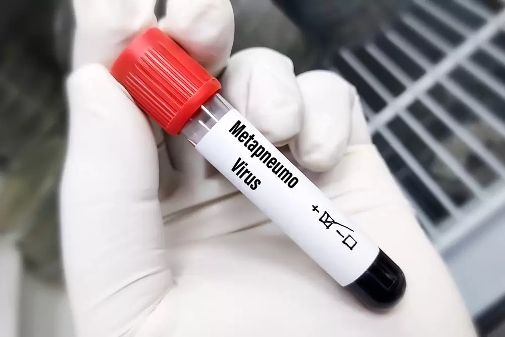 Эпидемиологи сообщают о новом вирусе в Ростовской области