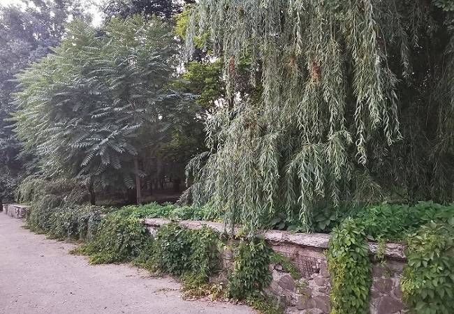 В ростовском парке «Дружба» новый этап благоустройства может так и не стать заключительным